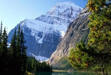 开云体育官网:李铁,已递交上诉书!北京晚报.