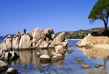 开云体育官网：[英超]努涅斯精准直塞 若塔低射扳平比分.